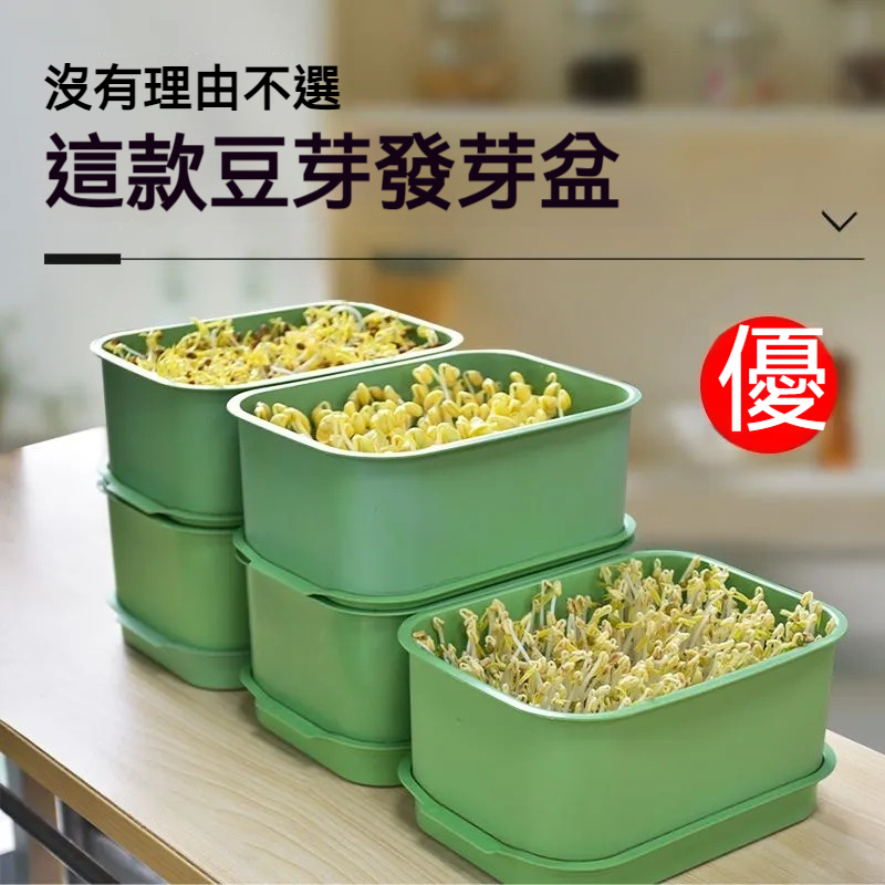 家用黃綠豆發芽專用神器 家用黃綠豆發芽專用神器